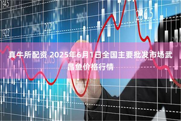 真牛所配资 2025年6月1日全国主要批发市场武昌鱼价格行情
