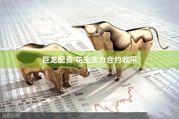 巨龙配资 花生主力合约收平