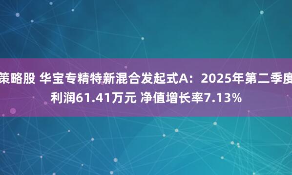 策略股 华宝专精特新混合发起式A：2025年第二季度利润61.41万元 净值增长率7.13%