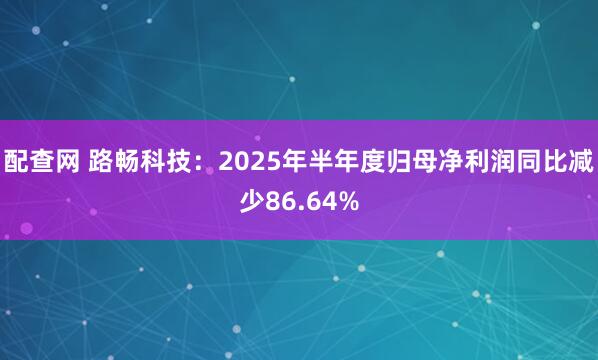 配查网 路畅科技：2025年半年度归母净利润同比减少86.64%